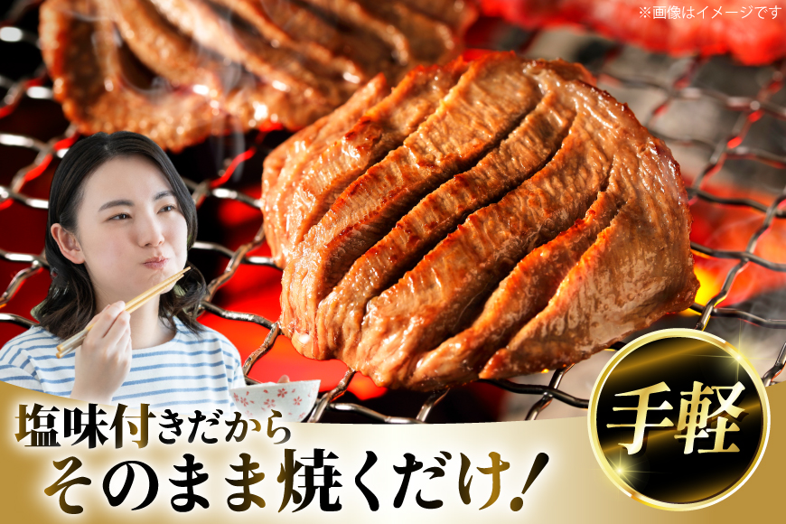 厚切り牛タン 塩味 500g [亀山精肉店 宮城県 気仙沼市 20565156] 精肉 肉 牛肉 牛たん 牛タン ぎゅうたん タン タン塩 厚切り 味付き 冷凍 焼肉 焼き肉 BBQ アウトドア