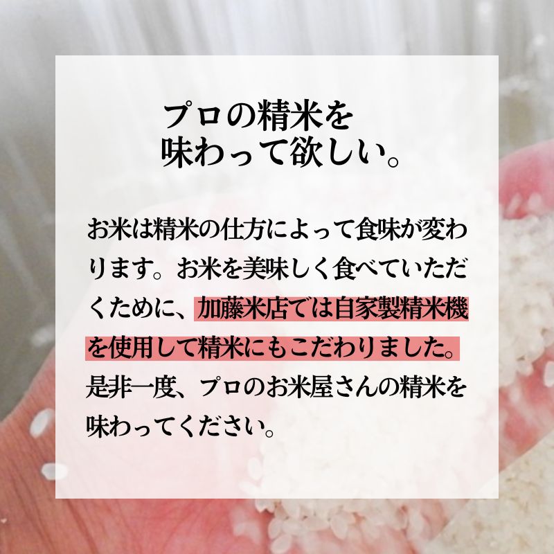 米 あきたこまち 5kg 令和8年産 米屋が認めたお米 かとうくん 白米 精米 こめ お米 おこめ 令和8年 特別栽培米 産地直送 ご飯 ごはん 秋田こまち 秋田 秋田県 能代市