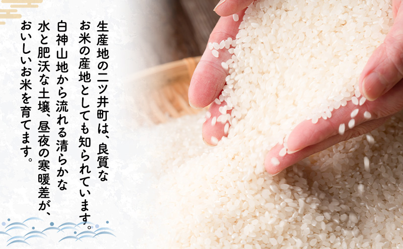 【先行予約 令和8年度産】あきたこまち 米 5kg 精米 白米 秋田県 能代市 ブランド米 甘み 粘り もっちり