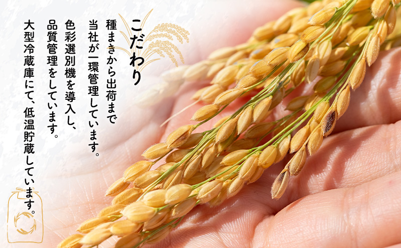 【先行予約 令和8年度産】あきたこまち 米 5kg 精米 白米 秋田県 能代市 ブランド米 甘み 粘り もっちり