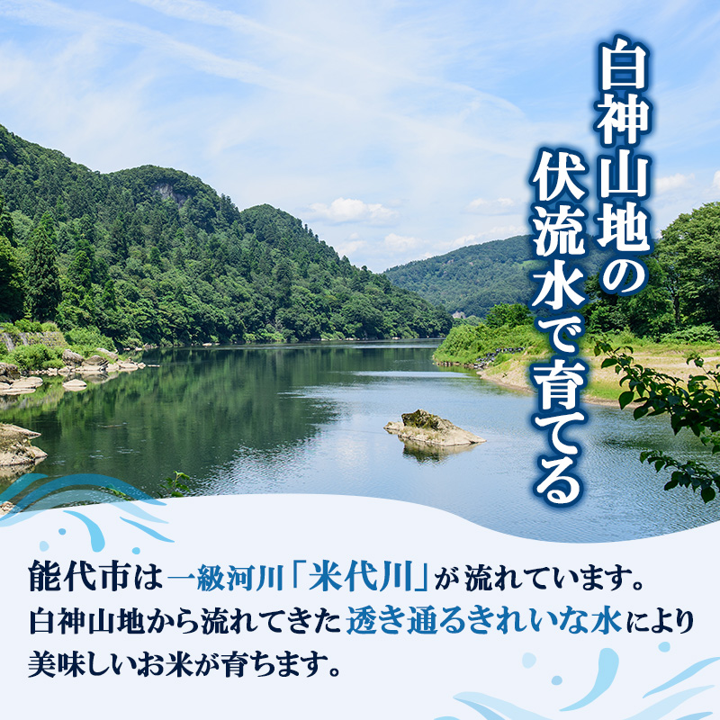 無洗米 佐藤家の米 あきたこまち 10kg (5kg×2袋) 秋田県 能代市 令和7年産  お米 米 精米 ブランド米 銘柄米 おにぎり