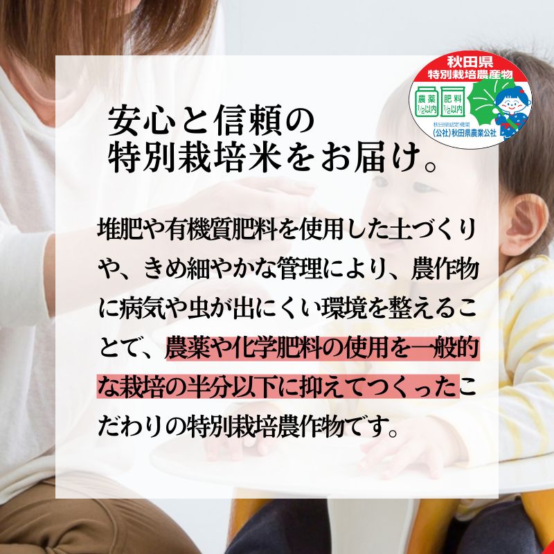 米 あきたこまち 5kg 令和8年産 米屋が認めたお米 かとうくん 白米 精米 こめ お米 おこめ 令和8年 特別栽培米 産地直送 ご飯 ごはん 秋田こまち 秋田 秋田県 能代市