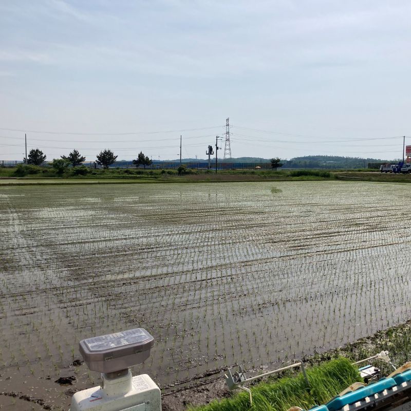 【先行予約・令和8年産】新米 秋田県産あきたこまち 玄米 30kg もっちり極旨 ブランド米 本場の味 豊かな水が育んだこだわり米 産直 [ ご飯 おにぎり お米 産地直送 おこめ ごはん 秋田県 秋田 能代市 ]