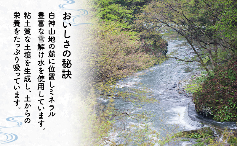 【先行予約 令和8年度産】あきたこまち 米 2kg 精米 白米 秋田県 能代市 ブランド米 甘み 粘りもっちり