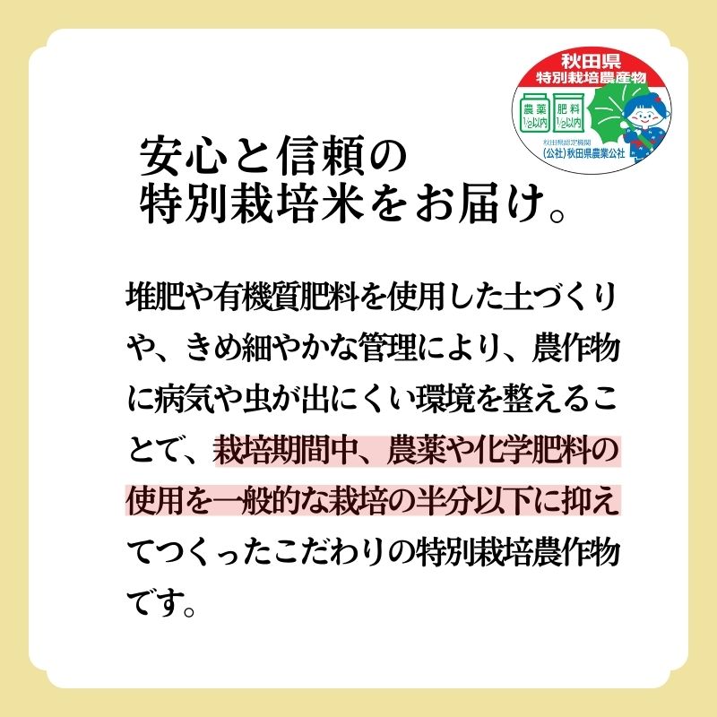 米 あきたこまち 30kg (5kg×6袋) 令和7年産 白米 精米 こめ お米 おこめ 令和7年 特別栽培米 産地直送 ご飯 ごはん 秋田こまち 秋田 秋田県 能代市 特別栽培