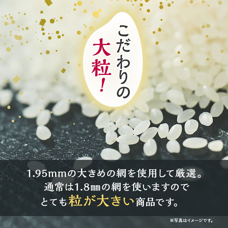 新米 先行予約 令和8年産 定期便 [無洗米]秋田県産 あきたこまち 6kg(3kg×2) 全12回 毎月お届け「杜の雫」こだわりの大粒 種梅産【お米 たねうめ 無洗米 精米 ご飯 ブランド米 大粒 おにぎり 産地直送 おこめ ごはん】