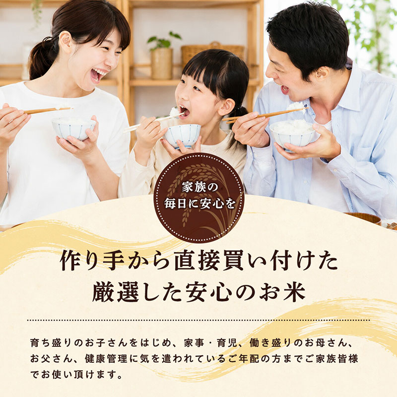 《 6回定期便 》 米 令和7年産 あきたこまち 玄米 30kg×6回 秋田県産 米 一等米 ブランド米 180キロ 一人暮らし 秋田 能代 能代市 送料無料 《こまちライン》