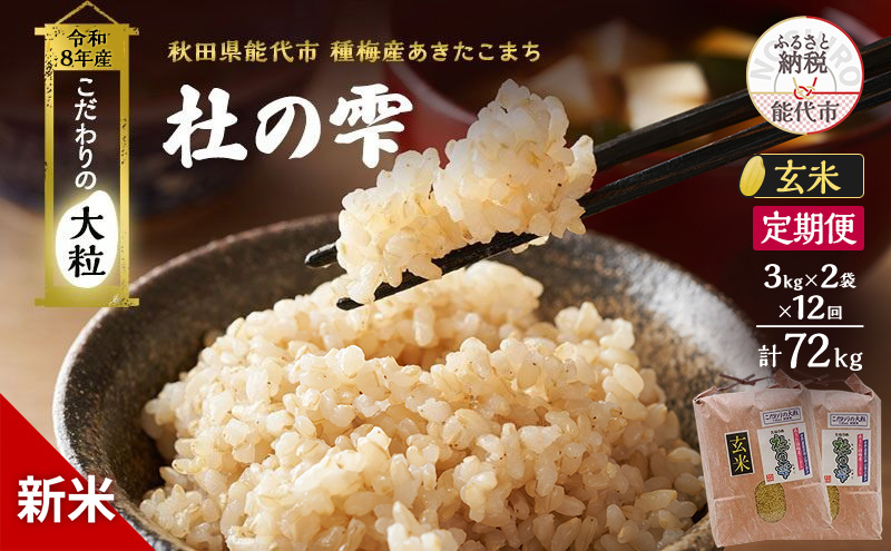 新米 先行予約 令和8年産 定期便 [玄米]秋田県産 あきたこまち 6kg(3kg×2) 全12回 毎月お届け「杜の雫」こだわりの大粒 種梅産【お米 たねうめ 玄米 精米 ご飯 ブランド米 大粒 おにぎり 産地直送 おこめ ごはん】