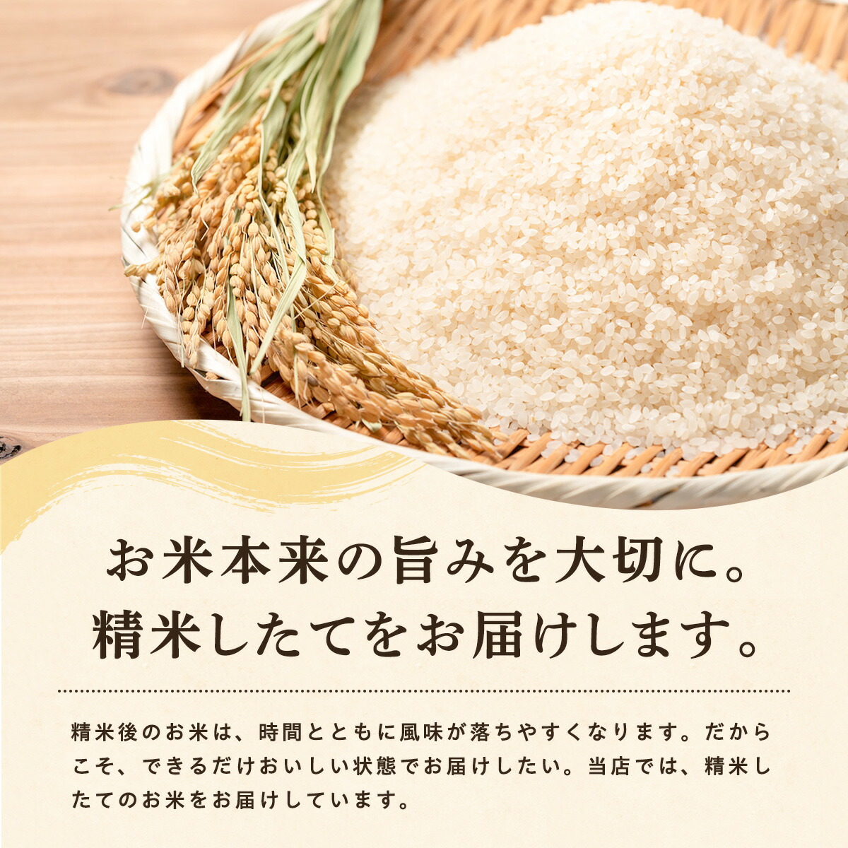 令和8年産 あきたこまち 無洗米 20kg 秋田県産 米 一等米 ブランド米 20キロ 精米 精米したて 一人暮らし 秋田 能代 能代市 送料無料 《こまちライン》