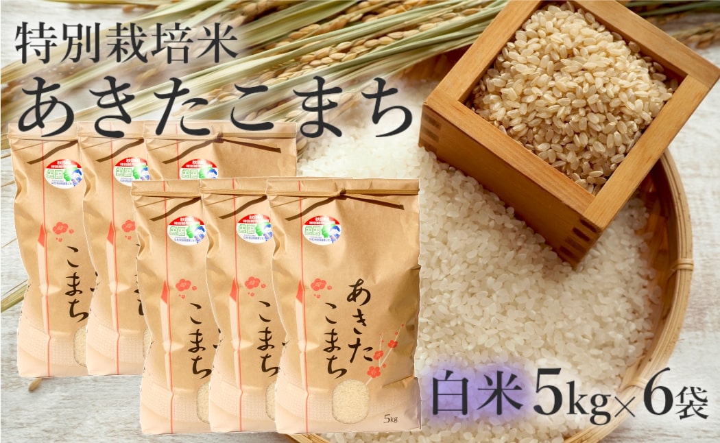 米 あきたこまち 30kg (5kg×6袋) 令和7年産 白米 精米 こめ お米 おこめ 令和7年 特別栽培米 産地直送 ご飯 ごはん 秋田こまち 秋田 秋田県 能代市 特別栽培