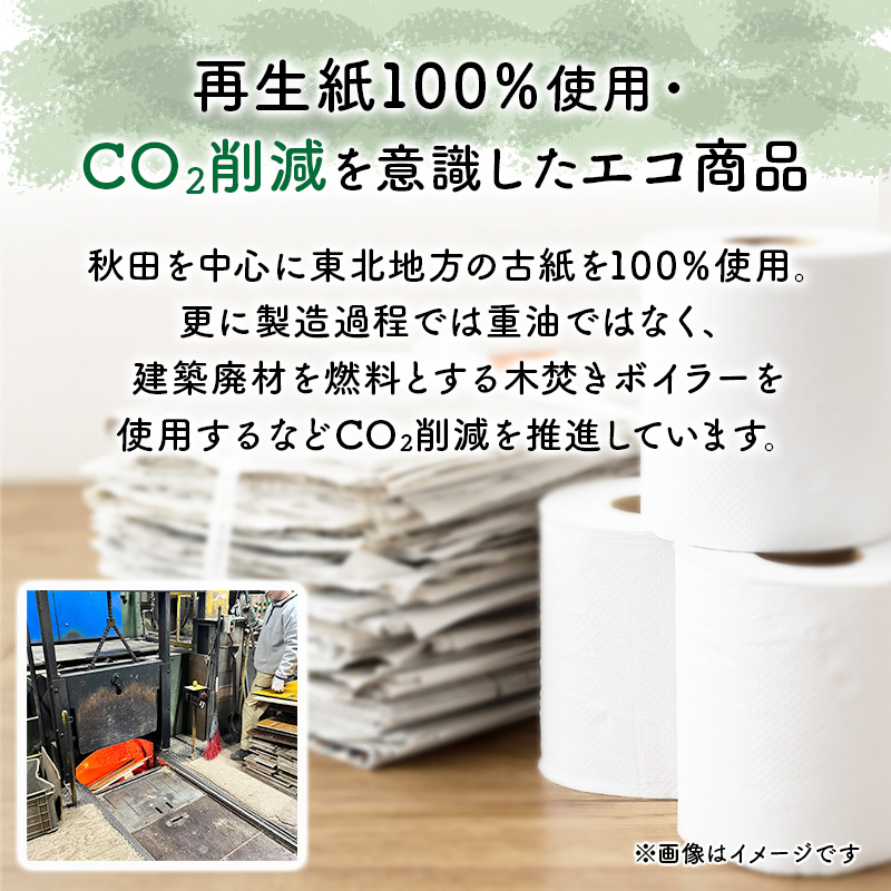 【9ヵ月 連続 定期便】トイレットペーパー ブランカ 12R ダブル （30ｍ×2枚）×8パック 96個 ×9回 日用品 消耗品 114mm 柔らかい 無香料 芯 大容量 トイレット トイレ といれっとペーパー ふるさと 納税