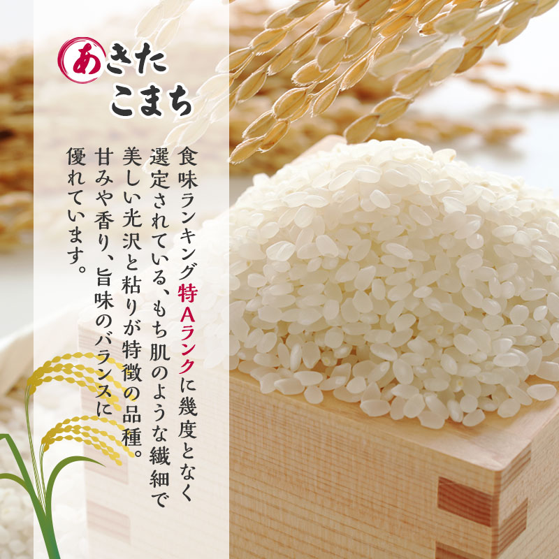 新米 先行予約 令和8年産 定期便 [無洗米]秋田県産 あきたこまち 6kg(3kg×2) 全12回 毎月お届け「杜の雫」こだわりの大粒 種梅産【お米 たねうめ 無洗米 精米 ご飯 ブランド米 大粒 おにぎり 産地直送 おこめ ごはん】