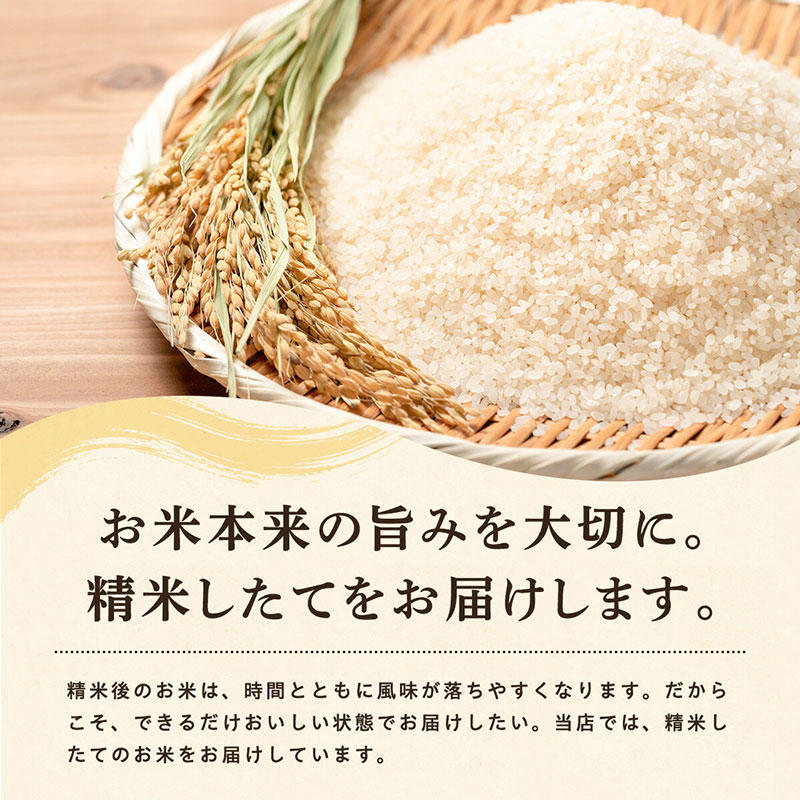 《 12回定期便 》 米 令和8年産 あきたこまち 無洗米 27kg×12回 秋田県産 米 一等米 ブランド米 324キロ  精米 精米したて 一人暮らし 秋田 能代 能代市 送料無料 《こまちライン》