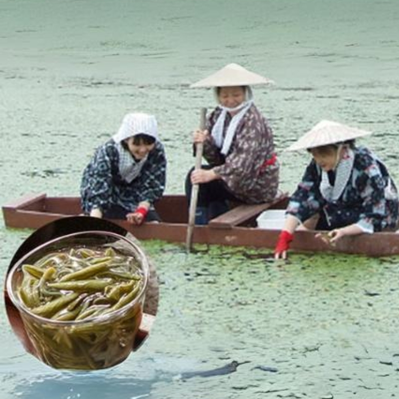 じゅんさい 鍋セット 2～3人前 白神地鶏 稲庭うどん 寄せ鍋 セット 野菜付き 地鶏 鶏鍋 白神特選　シャディハッピー
