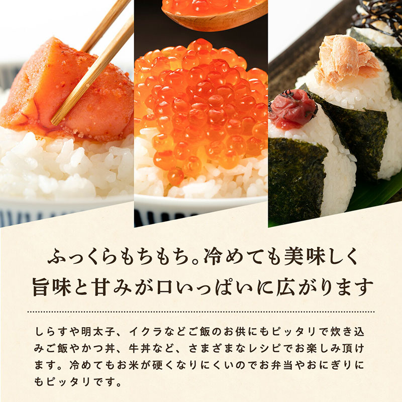《 3回定期便 》 米令和7年産 あきたこまち 玄米 3kg×3回 秋田県産 米 一等米 ブランド米 9キロ 一人暮らし 秋田 能代 能代市 送料無料 《こまちライン》