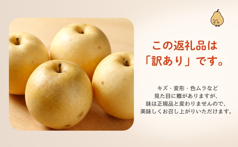秋月 5kg 訳あり(12～14個入) 秋田県 能代市 梨 なし ナシ 果物 フルーツ 厳選 訳あり 甘い 果実 果汁