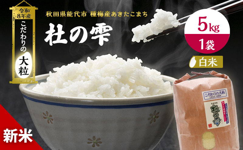 先行予約 新米 あきたこまち 杜の雫 5kg 米 秋田 5キロ
