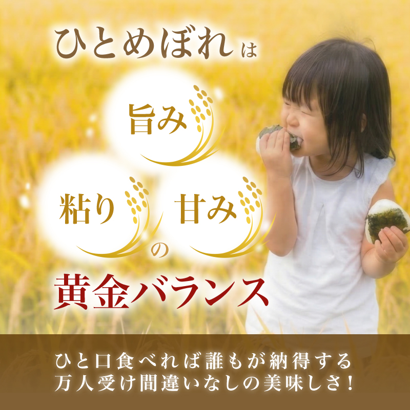 【新米先行予約】【2026年10月以降順次発送予定】《定期便12ヵ月》ひとめぼれ 令和8年度産 精米5kg【精米 白米 米 コメ お米 おこめ ブランド米 ご飯 ごはん 秋田 にかほ】