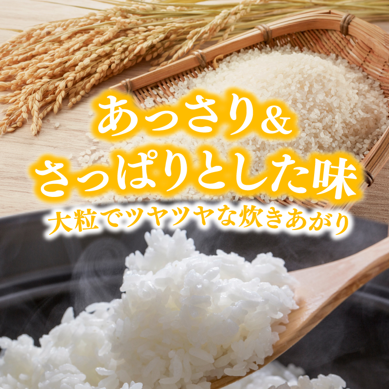 【新米先行予約】【3か月定期便】 萌えみのり 精米 5kg 【令和8年度産精米 白米 米 コメ お米 おこめ ブランド米 ご飯 ごはん 秋田 にかほ】