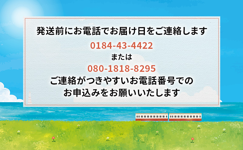 象潟産 天然岩牡蠣　13～15個 ナイフ無【牡蠣 夏牡蠣 かき 象潟 生食可 魚介類 海鮮　海産物 海の幸】　秋田商店