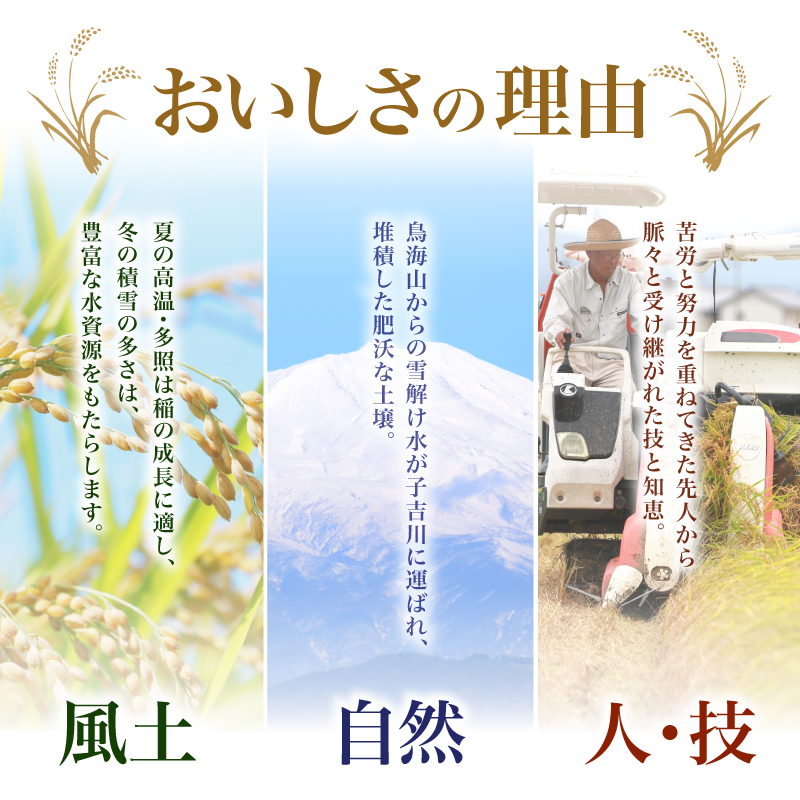 【新米先行予約】【2026年10月以降順次発送予定】《定期便3ヵ月》ひとめぼれ 令和8年度産 精米10kg(5kg×2)【精米 白米 米 コメ お米 おこめ ブランド米 ご飯 ごはん 秋田 にかほ】