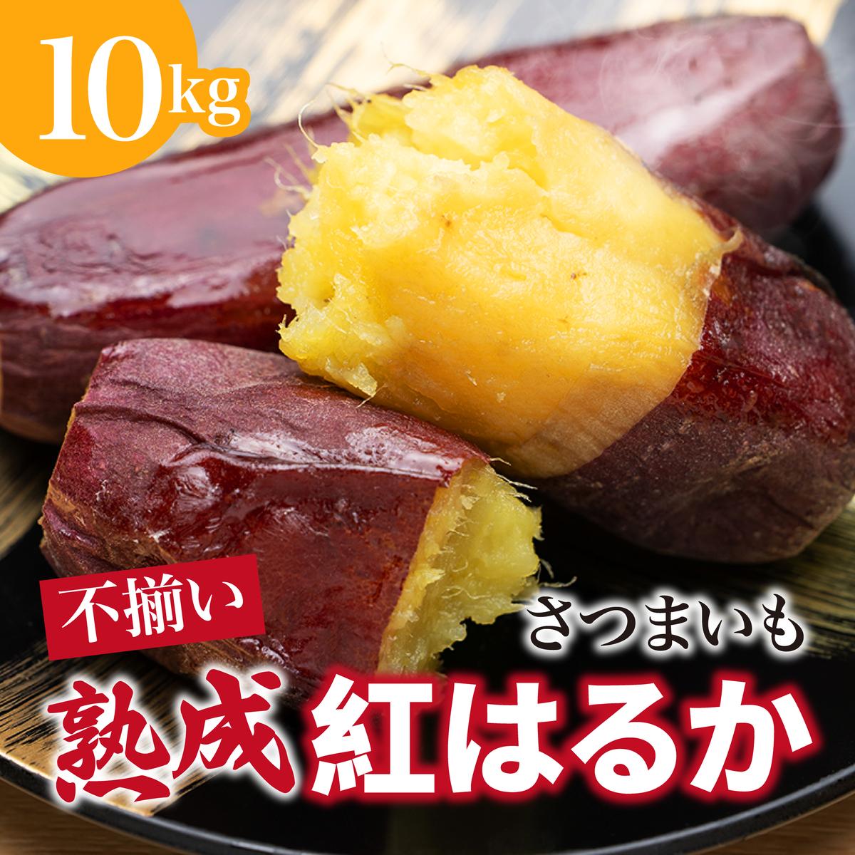 【先行予約】 にかほ市 象潟町 大須郷産「 さつまいも 2ヶ月 熟成 紅はるか 不揃い 10kg 」【 産地直送 国産 芋 おいも 定番 焼き芋 イモ 野菜 不揃い 長期熟成 秋田県 にかほ】