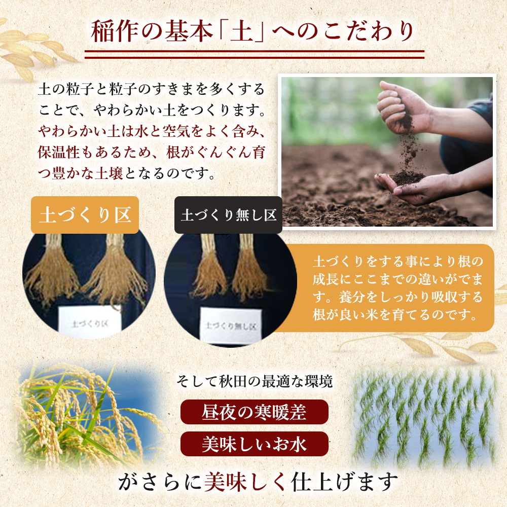 【新米先行予約】サキホコレ 10kg 令和8年産〈土づくり実証米〉JAしんせい【 精米 白米 米 コメ お米 ブランド米 ご飯 産地直送 秋田 にかほ 】