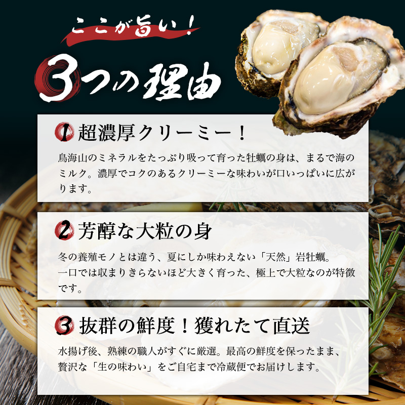 生食用 殻付き 象潟産 天然 岩牡蠣 10個 約3kg 相当 約300～400g/個 直径10cm 岩ガキ 冷蔵 濃厚 プリプリ 新鮮 殻剥きナイフなし 贈り物 ギフト お取り寄せ 国産 日本海 産地直送 秋田県 にかほ市マルイチ水産