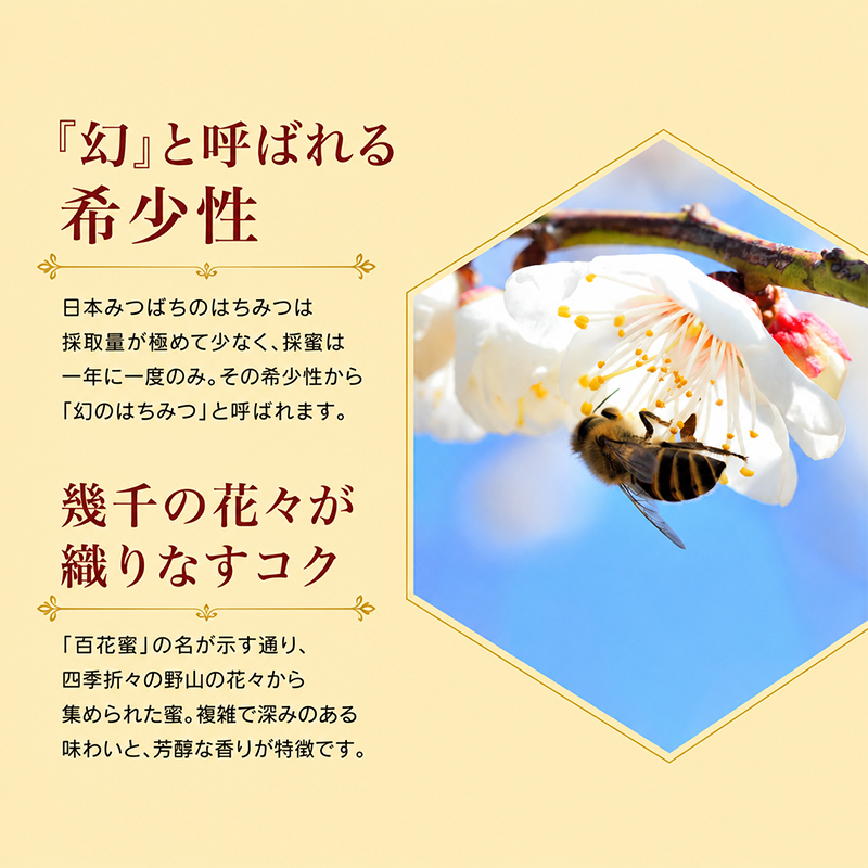日本みつばちのはちみつ 百花蜜 3個セット 200g×3個 ( 蜂蜜 国産 ) はちみつ ハチミツ 秋田県 にかほ