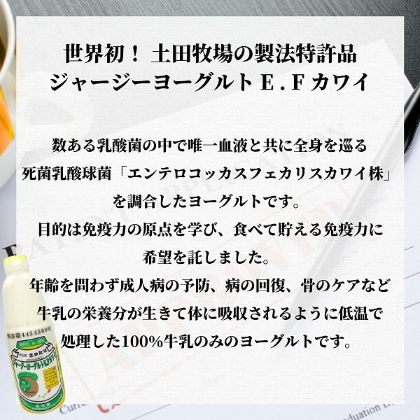 定期便 12ヶ月 飲むヨーグルト 900ml 1本 ジャージーヨーグルトE・Fカワイ 死菌乳酸菌 土田牧場 飲むジャージーヨーグルト ジャージーヨーグルト ヨーグルト飲料 乳製品 健康 栄養豊富 冷蔵 秋田 秋田県 にかほ市 定期