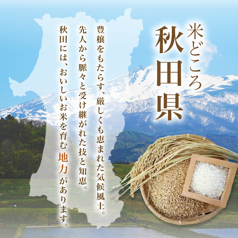 【新米先行予約】【2026年10月以降順次発送予定】《定期便6ヵ月》ひとめぼれ 令和8年度産 精米5kg【精米 白米 米 コメ お米 おこめ ブランド米 ご飯 ごはん 秋田 にかほ】
