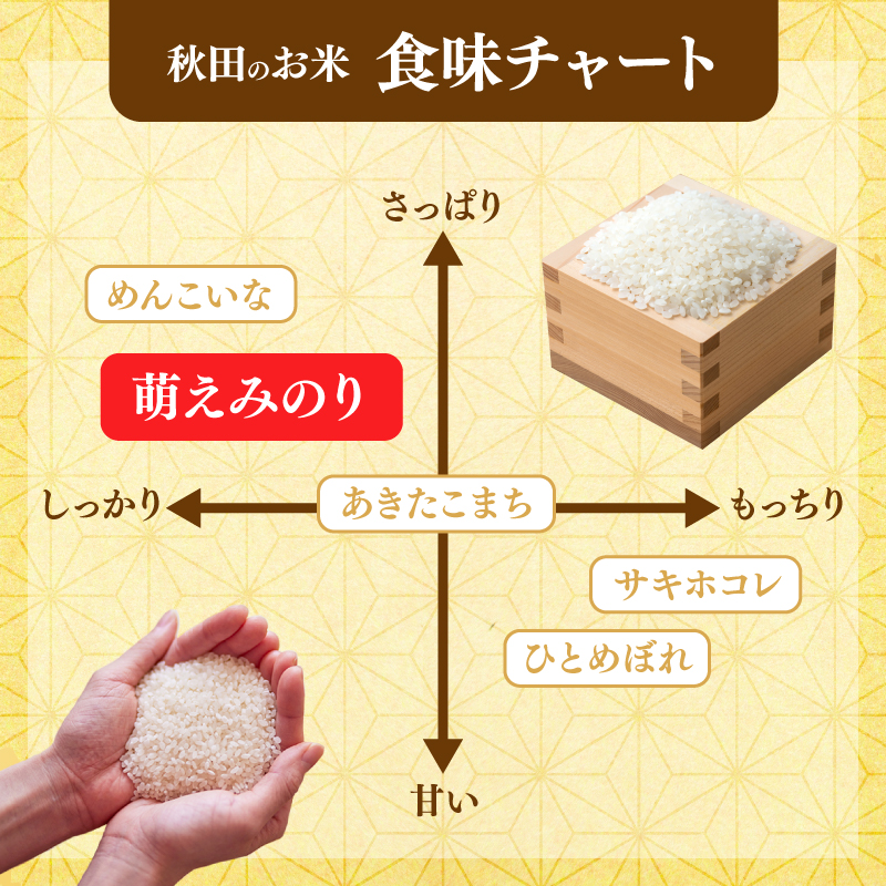 【新米先行予約】【3か月定期便】 萌えみのり 精米 5kg 【令和8年度産精米 白米 米 コメ お米 おこめ ブランド米 ご飯 ごはん 秋田 にかほ】