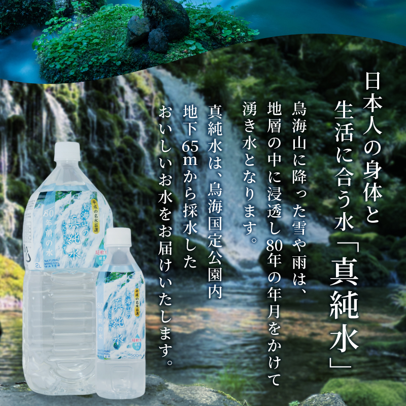 水 定期便 4ヶ月 日本百名山 鳥海山の真純水 2L × 12本 ミネラルウォーター 2リットル 2l 軟水 超軟水 産地直送 スキンケア 美容 健康 お水 天然水 ペットボトル 飲料 湧水 災害 防災 備蓄 備蓄水 ローリングストック 災害対策 備蓄用 定期 4回