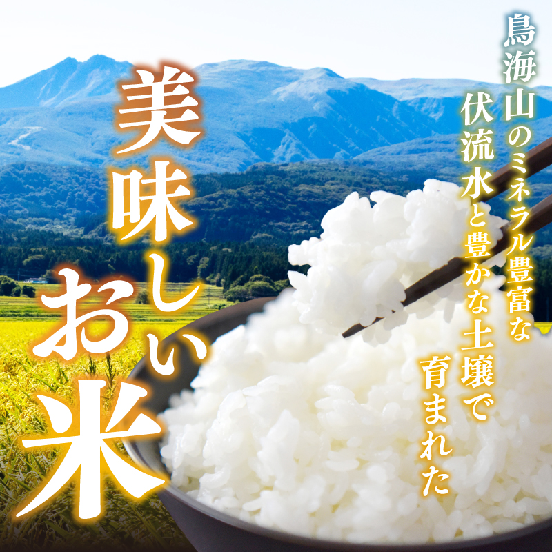 【新米先行予約 4ヵ月定期便】令和8年度産 ブレンド米 無洗米 10kg×4ヵ月  米 コメ お米 生活応援米 おこめ ご飯 ごはん 秋田県産 秋田 にかほ