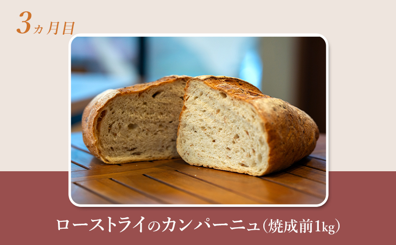 【 定期便 3ヵ月 】本場欧州のハード系パン 3種類 80%ライ麦パンと特製カンパーニュ  パン ライ麦パン カンパーニュ ハード系パン 冷凍
