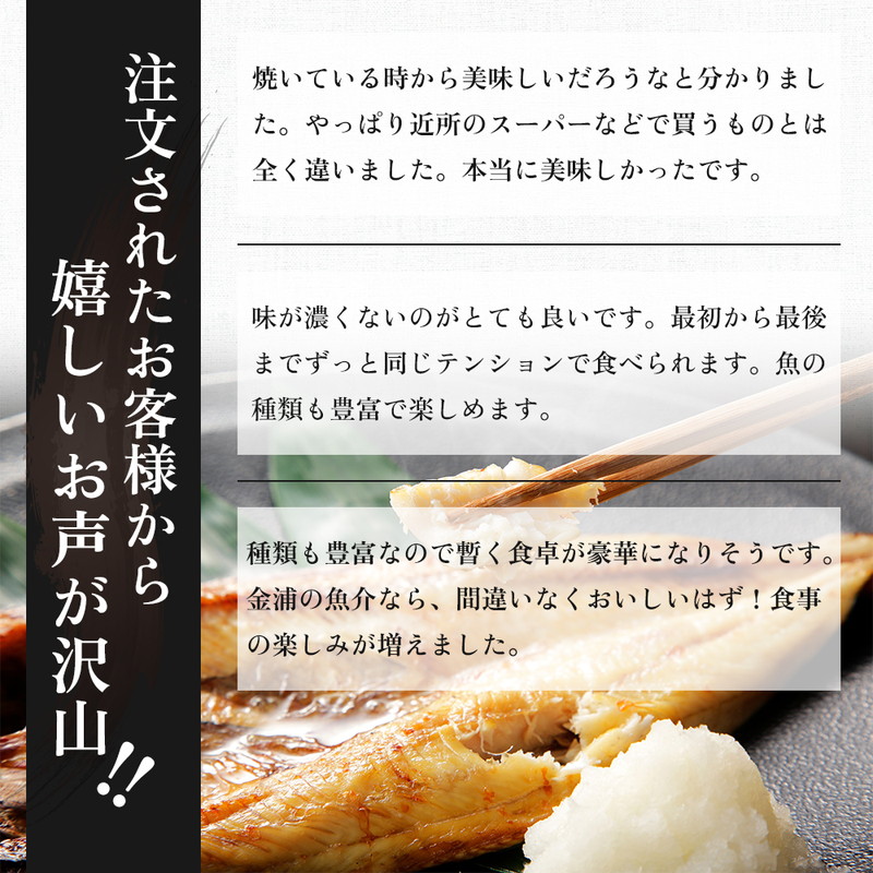 干物小セットA 5品 ＜トロさば（塩）×2 トロさば（みりん）×2 鮭（中辛)×1＞【 にかほ市 干物 干し物 魚 贈り物 晩御飯 おつまみ 冷凍 保存 】