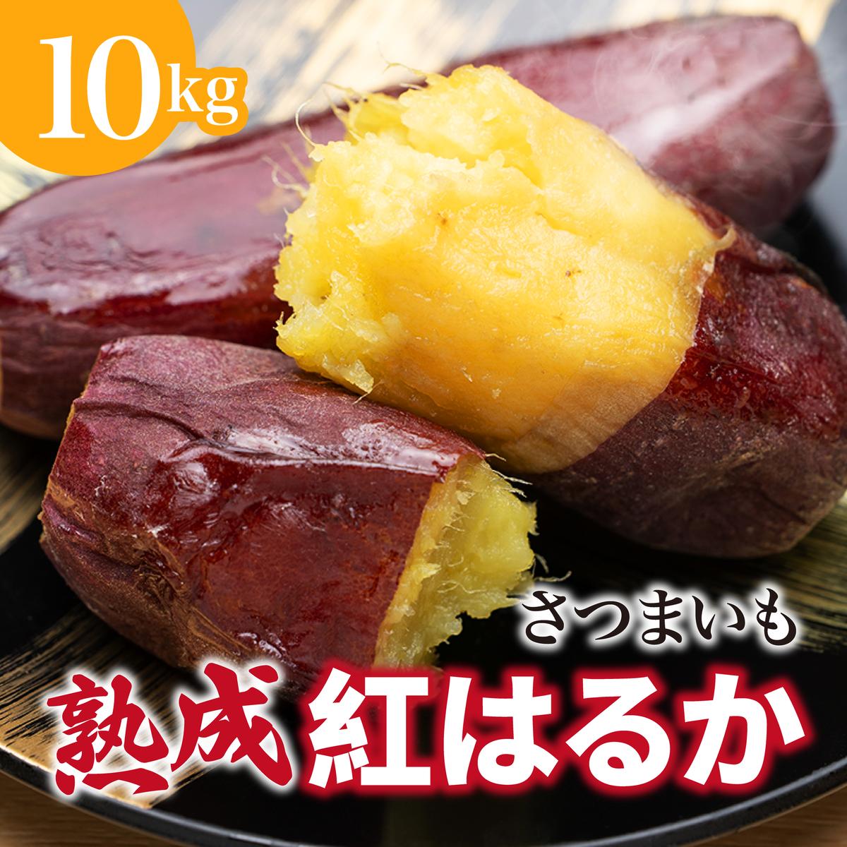 【先行予約】 にかほ市 象潟町 大須郷産「 さつまいも 2ヶ月 熟成 紅はるか 10kg 」【 産地直送 国産 芋 おいも 定番 焼き芋 イモ 野菜 長期熟成 秋田県 にかほ】