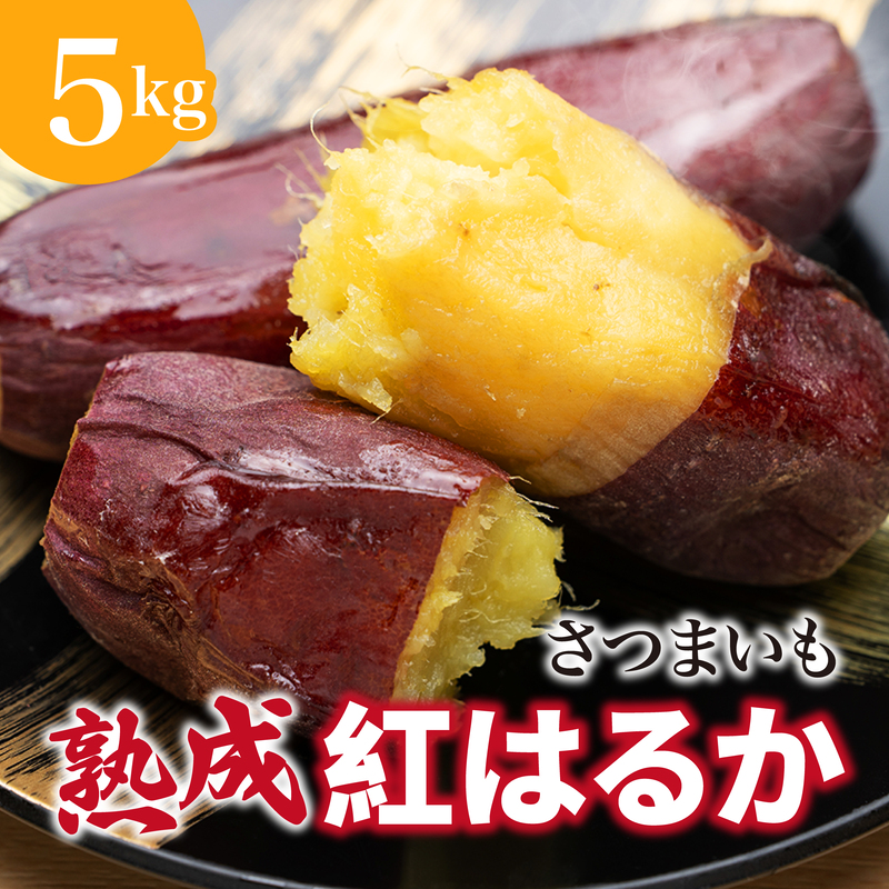 【先行予約】 にかほ市 象潟町 大須郷産「 さつまいも 2ヶ月 熟成 紅はるか 5kg 」【 産地直送 国産 芋 おいも 定番 焼き芋 イモ 野菜 長期熟成 秋田県 にかほ】