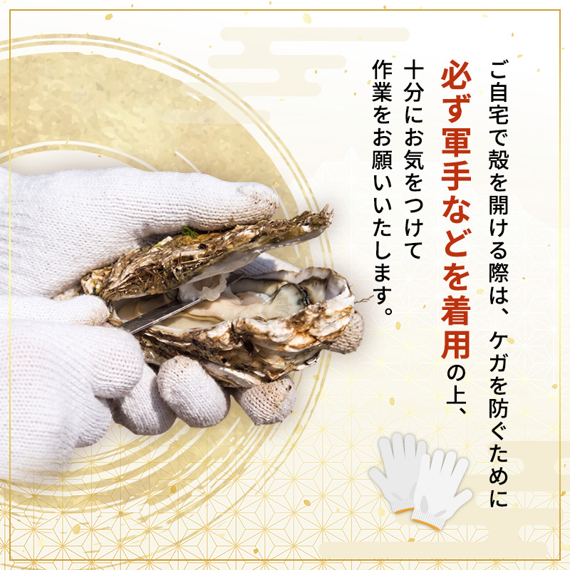 象潟産 天然岩牡蠣 7～8個 ナイフ無【牡蠣 夏牡蠣 かき 象潟 生食可 魚介類 海鮮 海産物 海の幸】 みずしまや