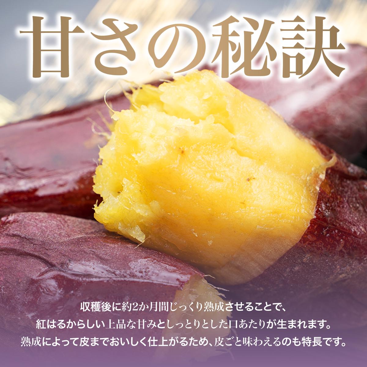 【先行予約】 にかほ市 象潟町 大須郷産「 さつまいも 2ヶ月 熟成 紅はるか 不揃い 5kg 」【 産地直送 国産 芋 おいも 定番 焼き芋 イモ 野菜 不揃い 長期熟成 秋田県 にかほ】