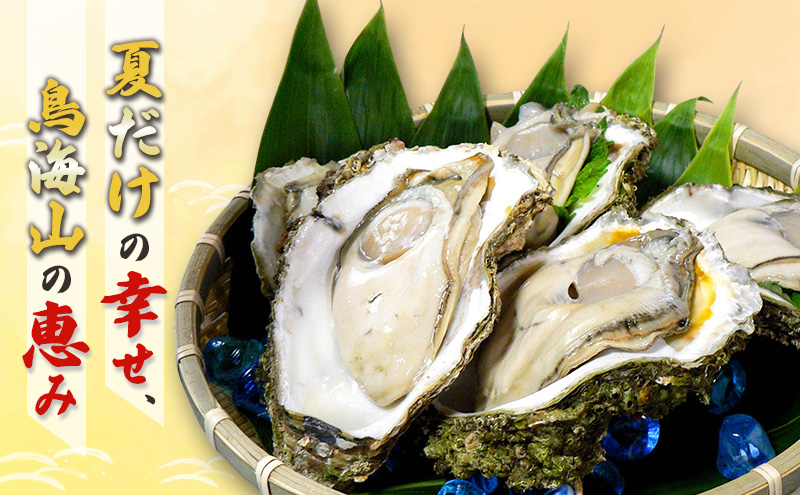 象潟産 天然岩牡蠣　13～15個 ナイフ無【牡蠣 夏牡蠣 かき 象潟 生食可 魚介類 海鮮　海産物 海の幸】　秋田商店