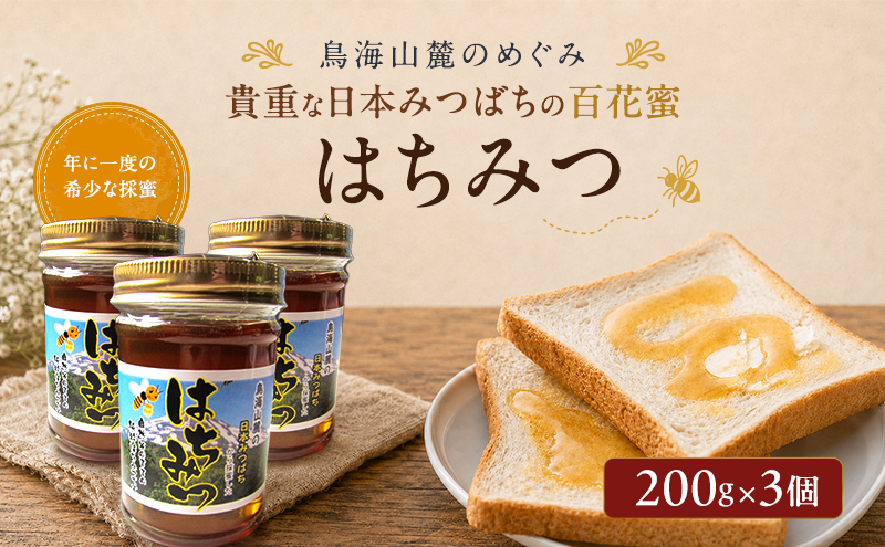 日本みつばちのはちみつ 百花蜜 3個セット 200g×3個 ( 蜂蜜 国産 ) はちみつ ハチミツ 秋田県 にかほ