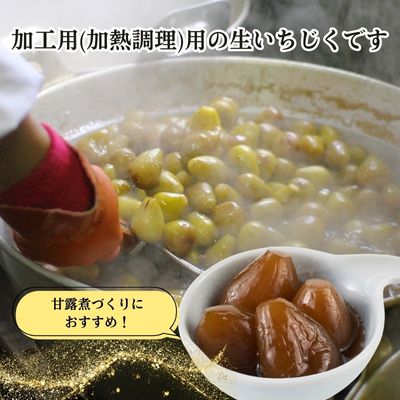 期間限定 加工用 生いちじく 2kg 秋田県にかほ市産 北限のいちじく ブルンスウィッグ