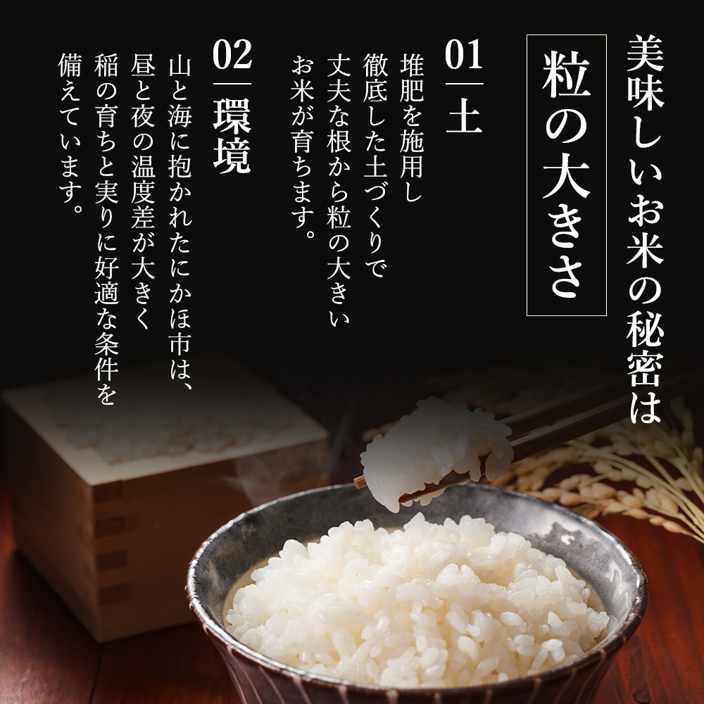 【新米先行予約】サキホコレ 5kg 令和8年産〈土づくり実証米〉JAしんせい【 精米 白米 米 コメ お米 ブランド米 ご飯 産地直送 秋田 にかほ 】