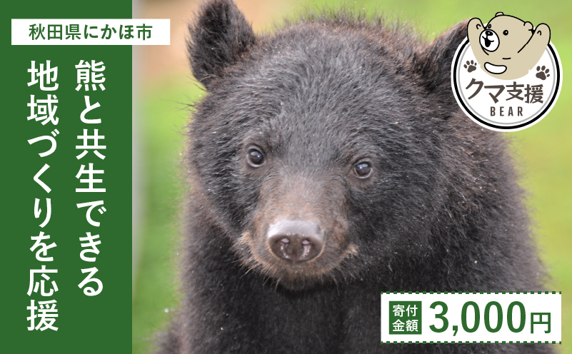 《クマといい距離プロジェクト》寄附のみ3,000円