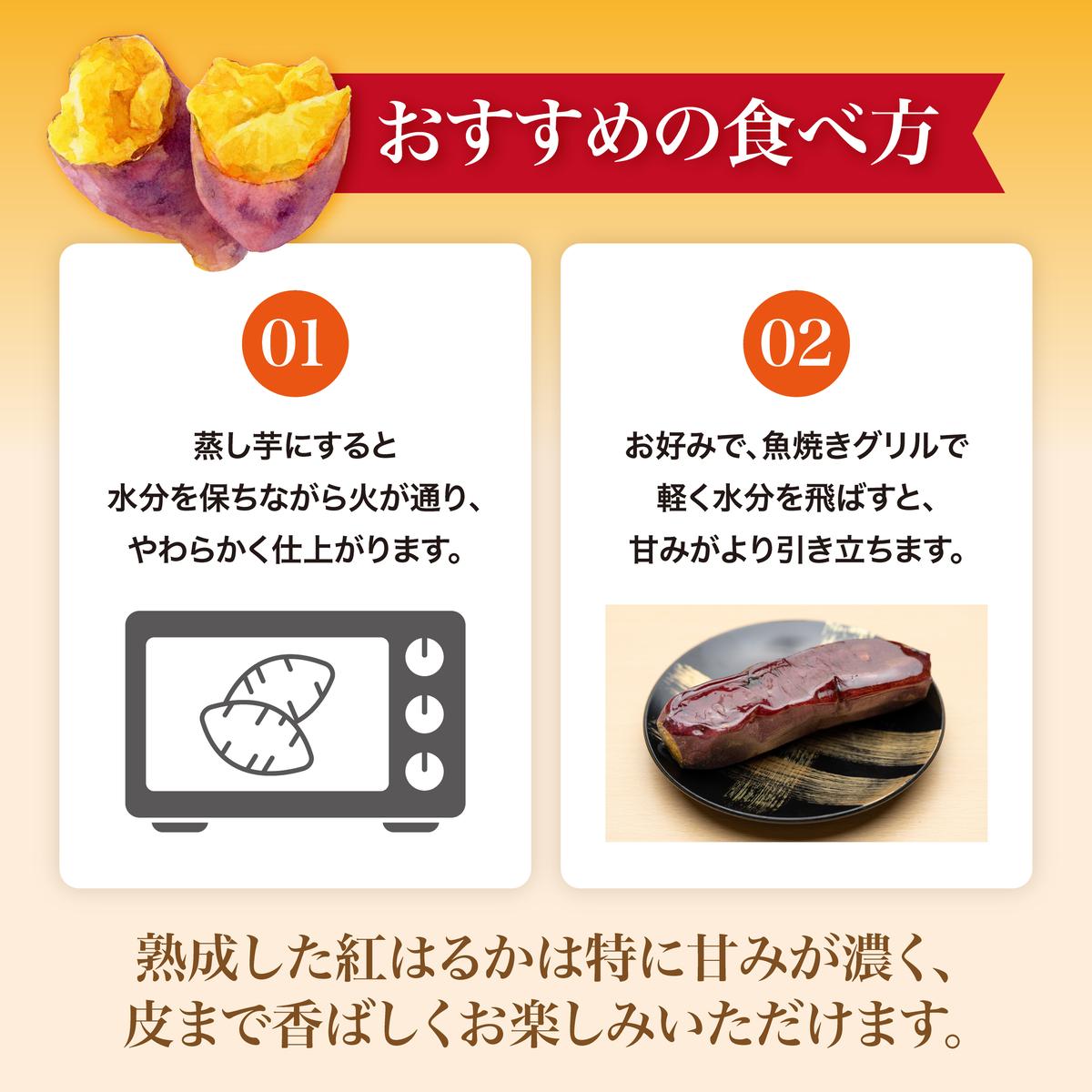 【先行予約】 にかほ市 象潟町 大須郷産「 さつまいも 2ヶ月 熟成 紅はるか 10kg 」【 産地直送 国産 芋 おいも 定番 焼き芋 イモ 野菜 長期熟成 秋田県 にかほ】