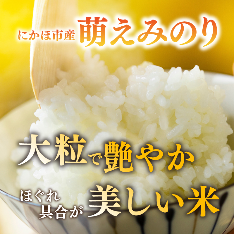 【新米先行予約】【3か月定期便】 萌えみのり 精米 5kg 【令和8年度産精米 白米 米 コメ お米 おこめ ブランド米 ご飯 ごはん 秋田 にかほ】