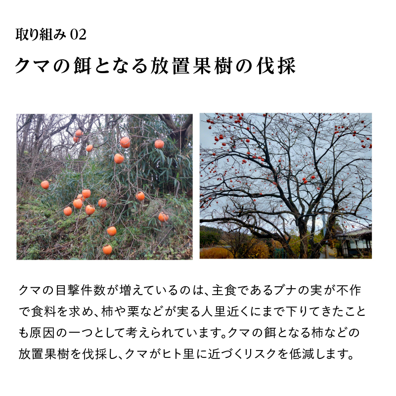 《クマといい距離プロジェクト》寄附のみ3,000円