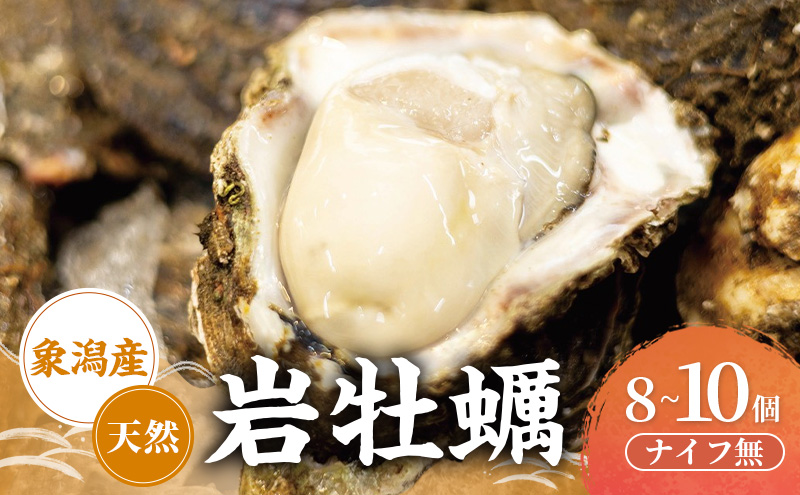 【先行予約 7月上旬～下旬発送予定】象潟産 天然岩牡蠣 8～10個 ナイフ無【牡蠣 夏牡蠣 かき 象潟 生食可 魚介類 海鮮　海産物 海の幸】　秋田商店