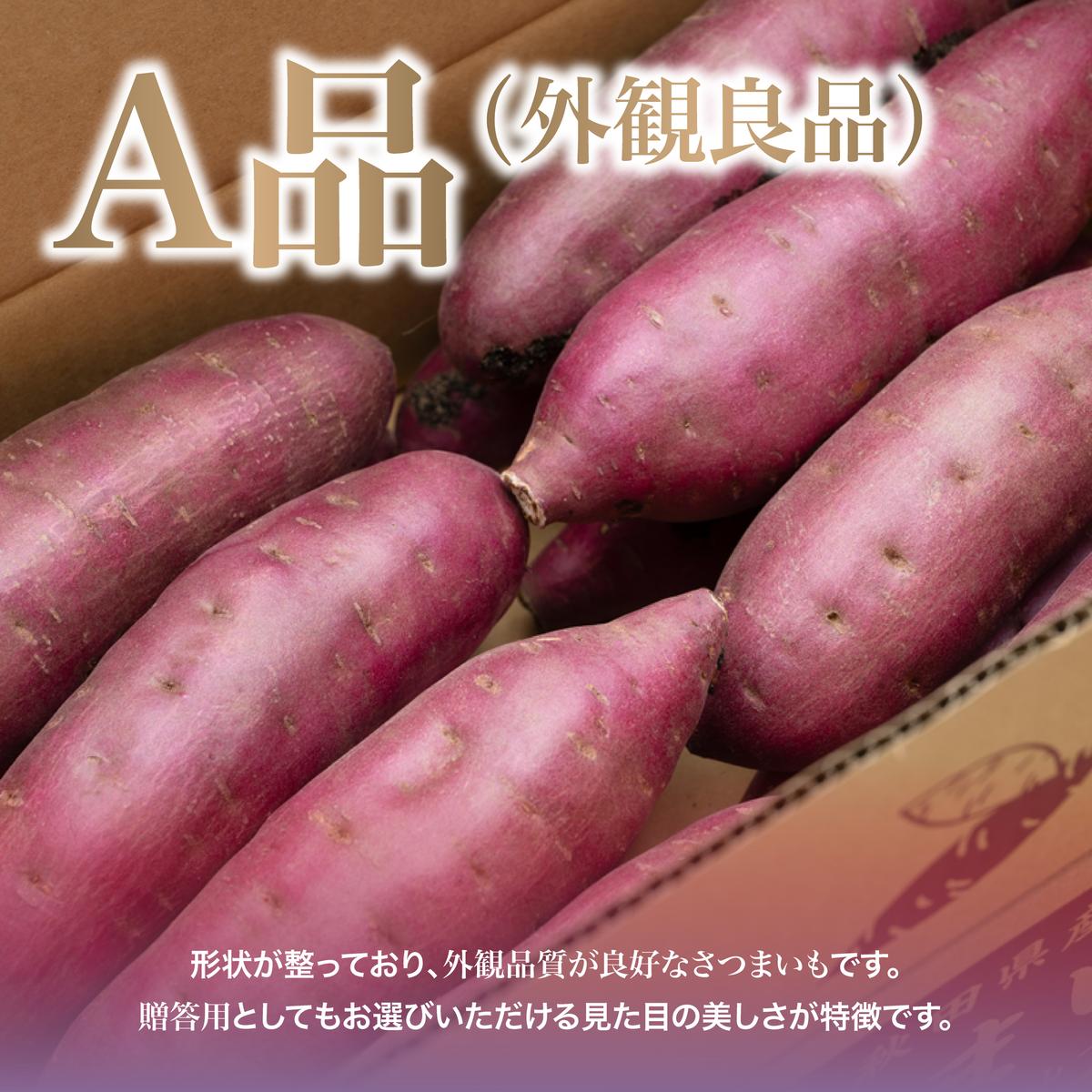 【先行予約】 にかほ市 象潟町 大須郷産「 さつまいも 2ヶ月 熟成 紅はるか 5kg 」【 産地直送 国産 芋 おいも 定番 焼き芋 イモ 野菜 長期熟成 秋田県 にかほ】
